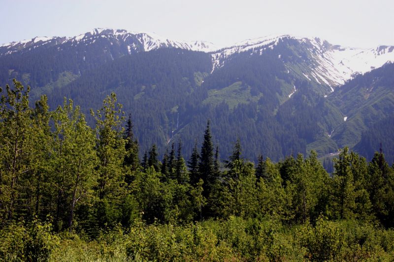 062004 P Rupert to Hyder AK (10179)